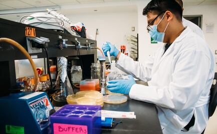 IPN elabora ventiladores y cubrebocas especializados ante escasez por Covid-19