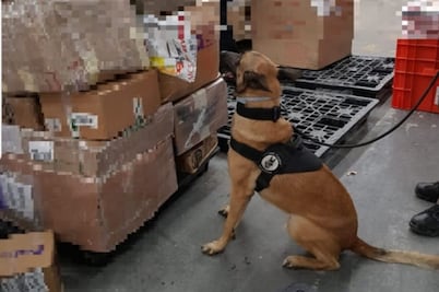 Aseguran más de 70 mil pastillas psicotrópicas en aeropuerto de Toluca