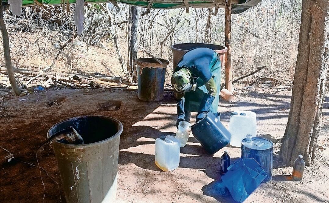 México carece de datos de consumo, pone más atención a la producción y distribución. Foto: Archivo EL UNIVERSAL