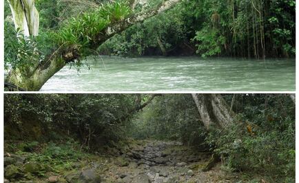 Llaman a "salvar" el río Atoyac