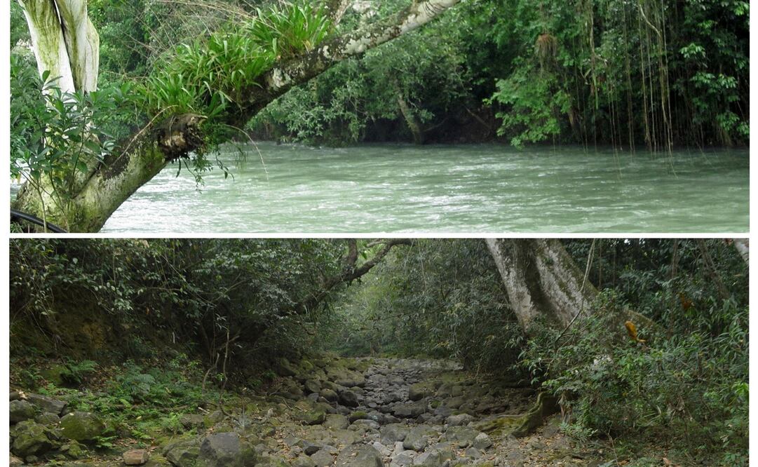 Foto: EFE / Miguel Ángel Contreras Mauss