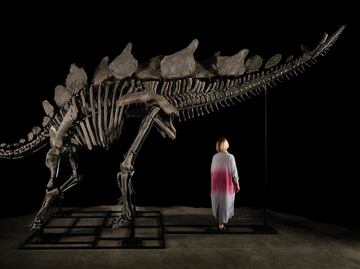 Millonario estadunidense compra el esqueleto de dinosaurio más caro del mundo