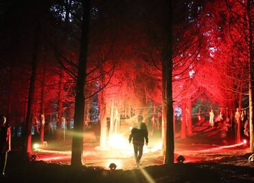 Cuándo es el campamento de películas de terror en Los Dinamos