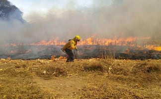 Incendios forestales arrasaron más de un millón de hectáreas en 2025: Conafor; prevén temporada más agresiva en 2026 