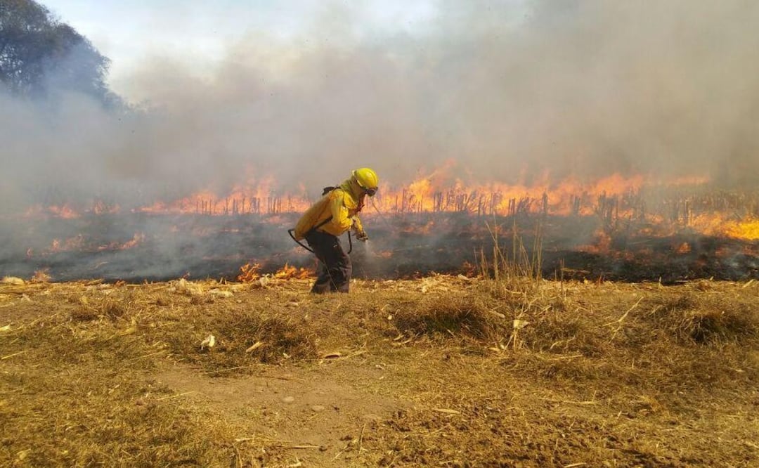 Reunión Nacional de Protección Civil advierte temporada agresiva de incendios forestales en el país. Febrero 2026. Imagen: Conafor