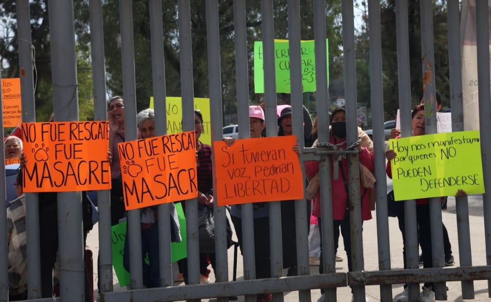 Activistas y Gobierno capitalino acuerdan supervisar perros rescatados del Refugio Franciscano; retiran bloqueo en la GAM.
Foto: Luis Camacho.