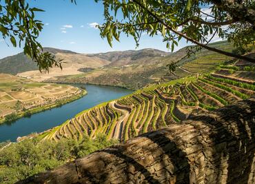 Este es el mejor viñedo del mundo de acuerdo a World´s Best Vineyards 2023