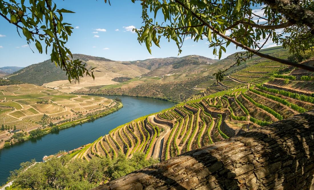 El proceso de selección es mediante una selección de votantes que durante todo el año viajan a diferentes regiones dle mundo en busca de la mejor bodega.