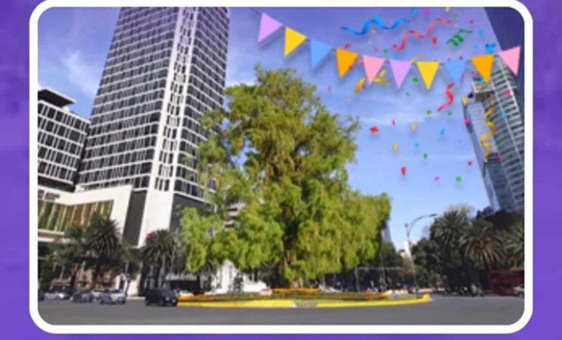 El ahuehuete obtuvo 77 mil votos para sustituir a la Palma de Reforma. Foto: Especial