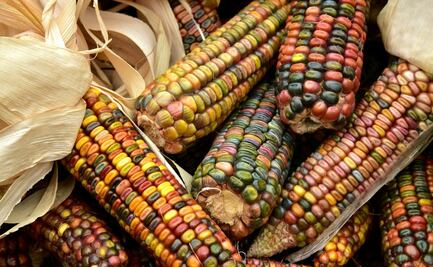 5 proyectos gastronómicos que tienes que conocer