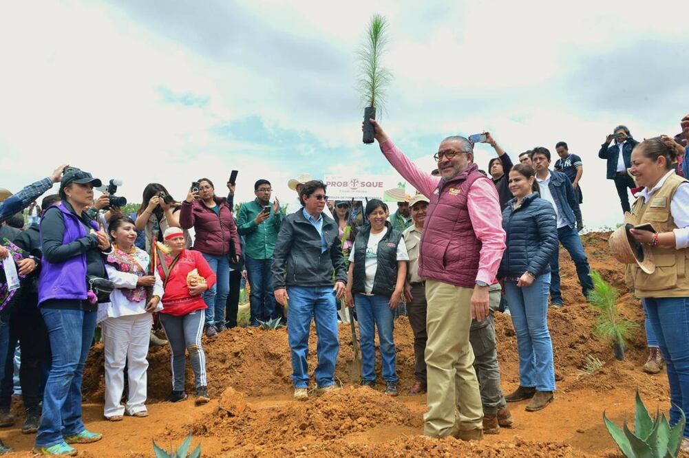 Edomex pone en marcha Plan de Restauración Forestal. Foto: Especial