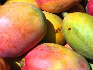 Beneficios de comer mango