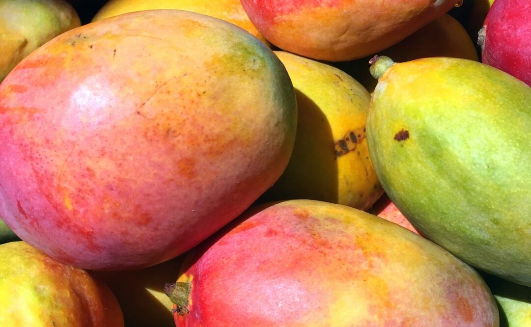 Al año se exportan más de 415 mil toneladas al año de dicha fruta, de acuerdo con Empacadoras de Mango de Exportación. Imagen: Unsplash