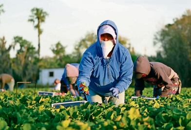 Fertilizantes se disparan hasta 29% tras el primer mes de la guerra en Irán