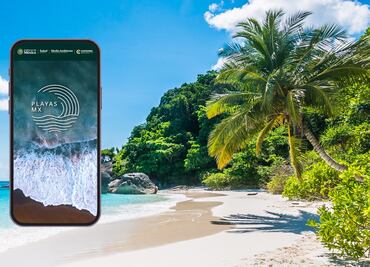 Playas MX, la app para ver qué playas están limpias y sucias