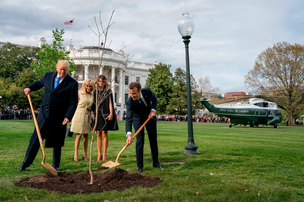 Macron ofreció el joven roble a Trump en ocasión de su visita de Estado a Washington en 2018 / ARCHIVO. AP