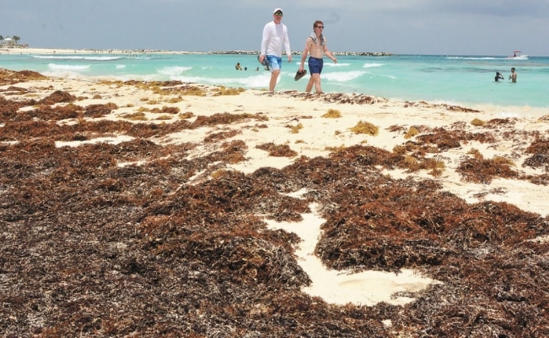 Foto: Archivo// EL UNIVERSAL