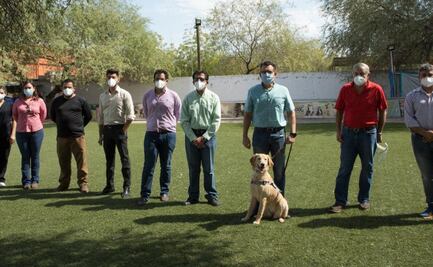 Entrenan a 10 perros para detectar Covid-19 en Sonora