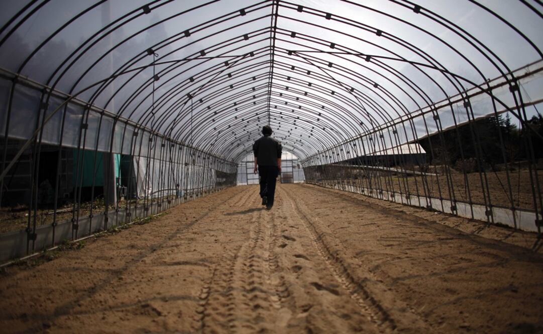 With this first place, the team "Deep Greens" will move on to the next stage of the Autonomous Greenhouses Challenge - Photo: Carlos Barria/REUTERS