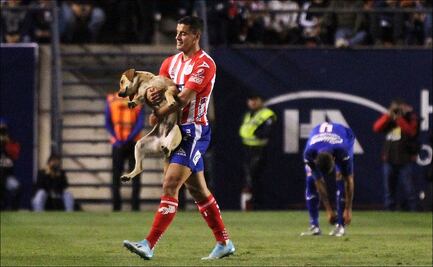 El Atlético de San Luis busca a la perrita que invadió la cancha del Alfonso Lastras