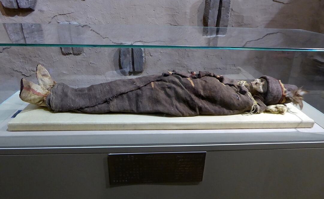Momia de la Princesa Xiaohe, una de las más antiguas de las momias de Tarim, en el Museo de Xinjiang. Foto: Hiroki Ogawa