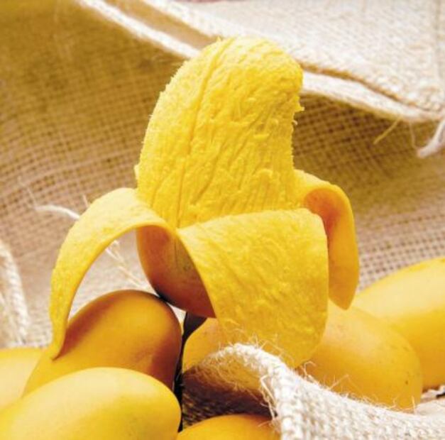 ¿Conoces las 16 cosas que sólo pueden producirse en México?