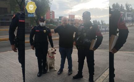 Policías reúnen a perrita extraviada con su propietario en Miguel Hidalgo 