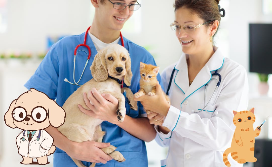 El cáncer es una de las principales causas de muerte en mascotas adultas. Aunque puede ser silencioso, identificar síntomas tempranos y acudir a revisión veterinaria permite ampliar las opciones de tratamiento y mejorar el pronóstico.
Foto: El Universal