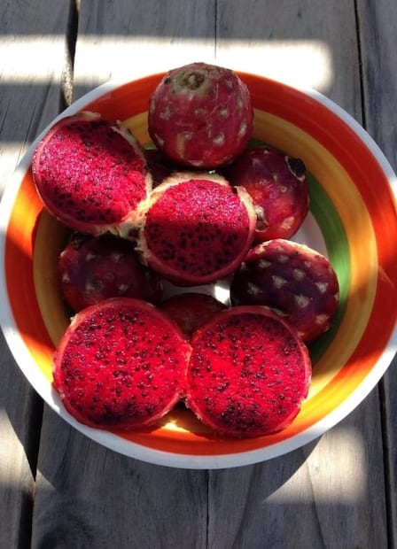 Pitaya o pitahaya ¿Cuál es la diferencia entre estas frutas?