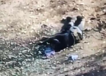 Mueren 3 integrantes del Cártel Jalisco Nueva Generación en Michoacán; estalla artefacto explosivo cuando intentaban colocarlo