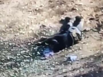 Mueren 3 integrantes del Cártel Jalisco Nueva Generación en Michoacán; estalla artefacto explosivo cuando intentaban colocarlo