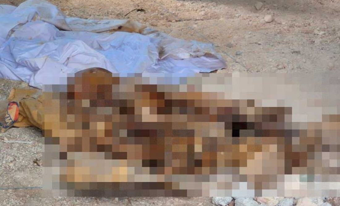 Denuncian profanación de 6 tumbas en Yucatán (05/08/2025). Foto: Especial