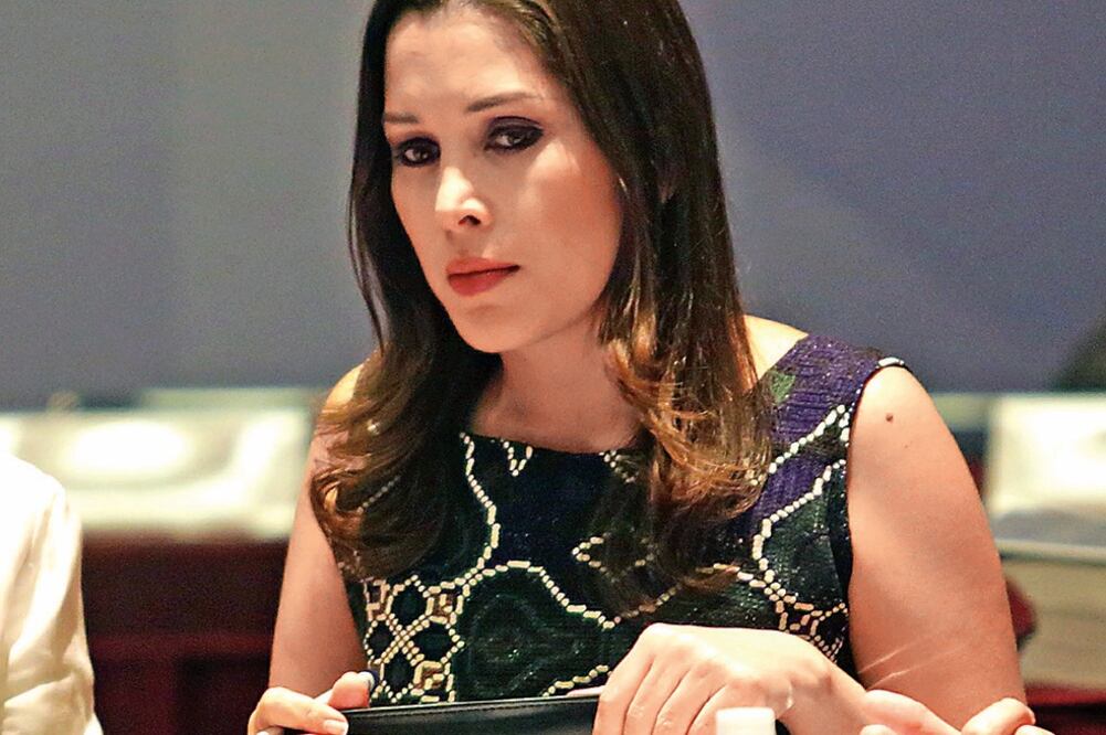 Ximena Puente recordó que quedan 22 días para que se cumpla el plazo para el proceso de armonización de las leyes locales