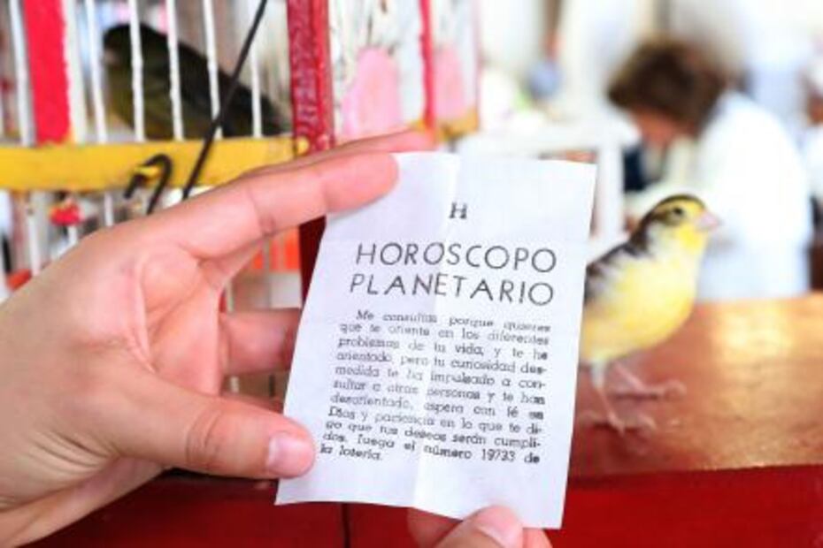 Pajaritos, ahora te leen la suerte… en las cantinas 