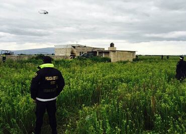 Revelan vecinos actividad previa a fuga de "El Chapo"