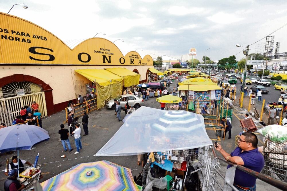 El un presunto delincuente fue identificado por una mujer como el responsable de robarle efectivo cuando iba saliendo del Mercado Sonora (ARCHIVO EL UNIVERSAL)