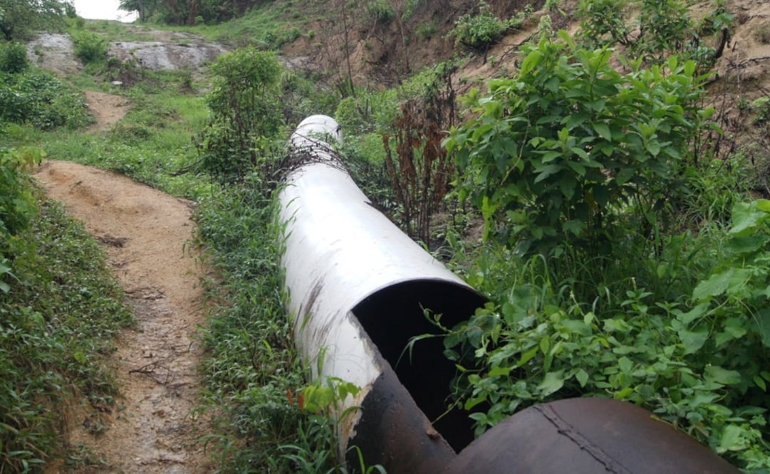 Foto: archivo/ EL UNIVERSAL 