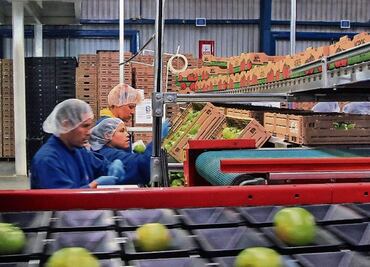 Preocupan a Concamin restricciones en exportación y suspensión de revisiones sanitarias por Apecic