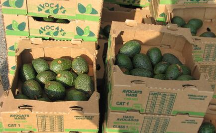 ¿Y los aguacates? Los riesgos de un cierre de la frontera entre México y EU