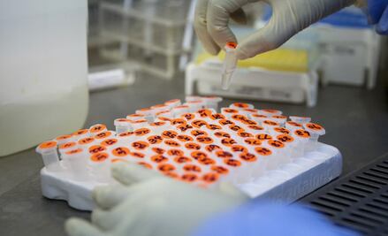 Plitidepsina, qué es y en qué van los ensayos para tratar el Covid-19