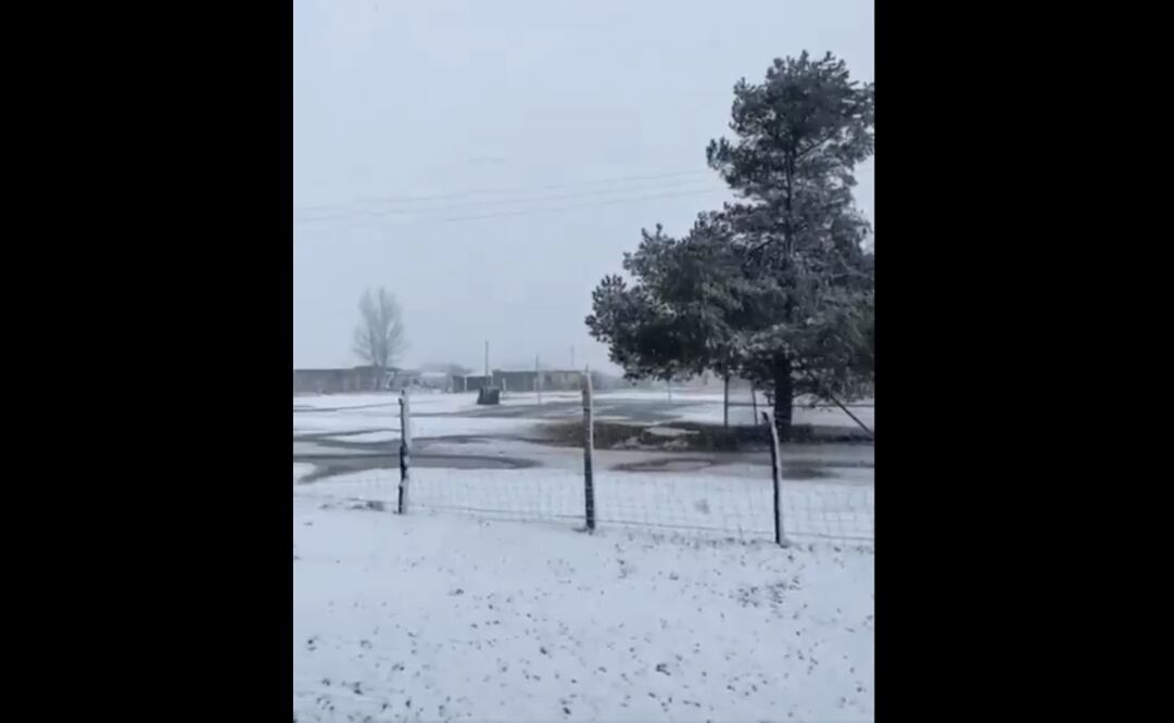 Se registra caída de nieve y aguanieve en NL por el frente frío 35. Foto: Captura video X Protección Civil NL (@PC_NuevoLeon)