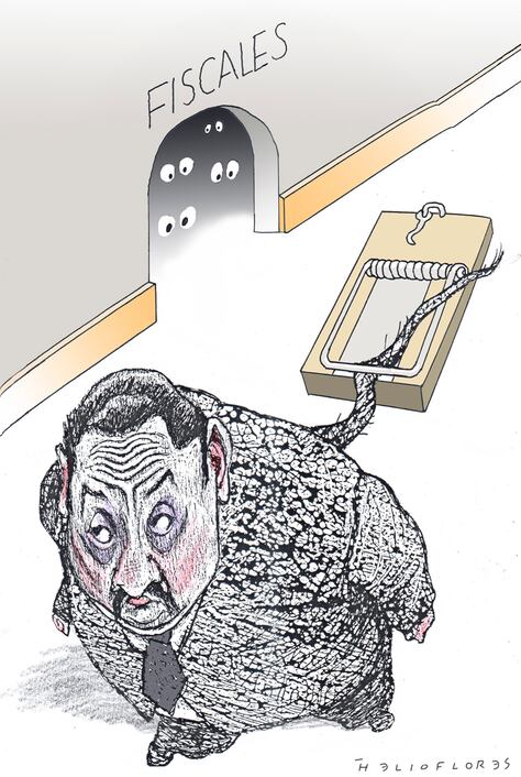 Cartón de Helioflores