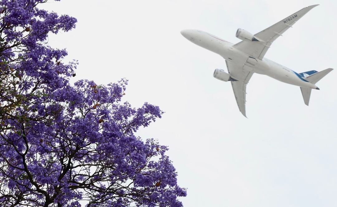 La aplicación de estas medidas mitigó los riesgos de seguridad operacional detectados por la OACI, donde la AFAC tenía un plazo de 90 días. Foto: Valente Rosas/EL UNIVERSAL