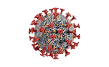 Esto es lo que sabemos acerca de "ómicron", la nueva variante de coronavirus