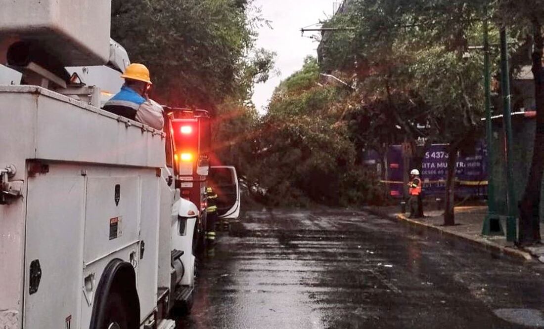Si tu regulador de luz quedó dañado tras la caída de árbol, puedes tramitar el pago por daño a instalaciones, equipos o aparatos eléctricos por parte de la CFE para ello deberás hacer el reporte. Foto: X @SGIRPC_CDMX