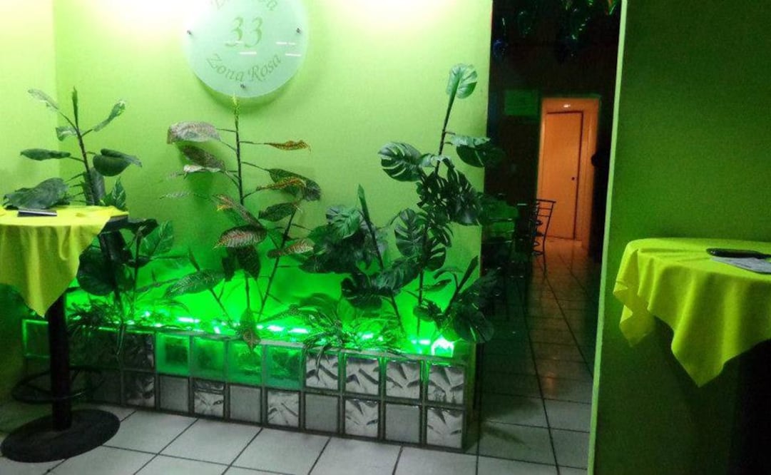 (Foto: Facebook/Alba 33)