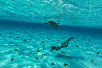 Cozumel: cuánto cuesta hacer snorkel en El Cielo