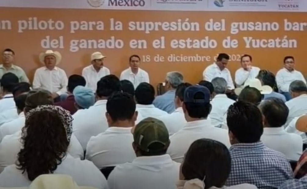 Implementan plan piloto contra el gusano barrenador (18/12/2025). Foto: Especial