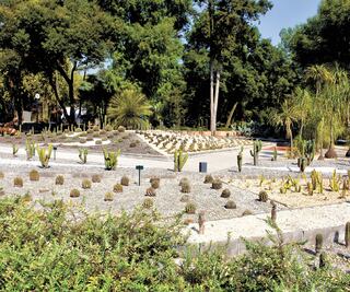 "Estoy contra el proyecto aventurero de destruir Chapultepec": Homero Aridjis