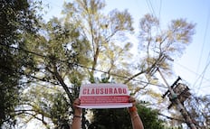 Realizan clausura simbólica de construcción cercana al árbol Eugenio; denuncian riesgo para su bienestar